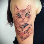 cat tattoo on hand 03.12.2019 №025 -cat tattoo- tattoovalue.net