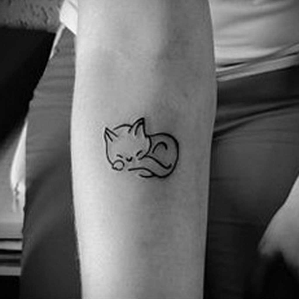 cat tattoo on hand 03.12.2019 №026 -cat tattoo- tattoovalue.net