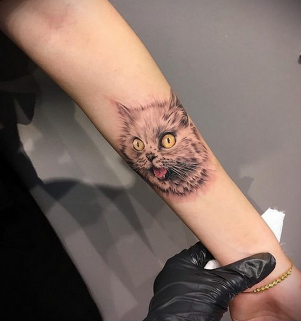 cat tattoo on hand 03.12.2019 №032 -cat tattoo- tattoovalue.net