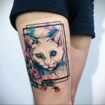 cat tattoo on leg 03.12.2019 №021 -cat tattoo- tattoovalue.net
