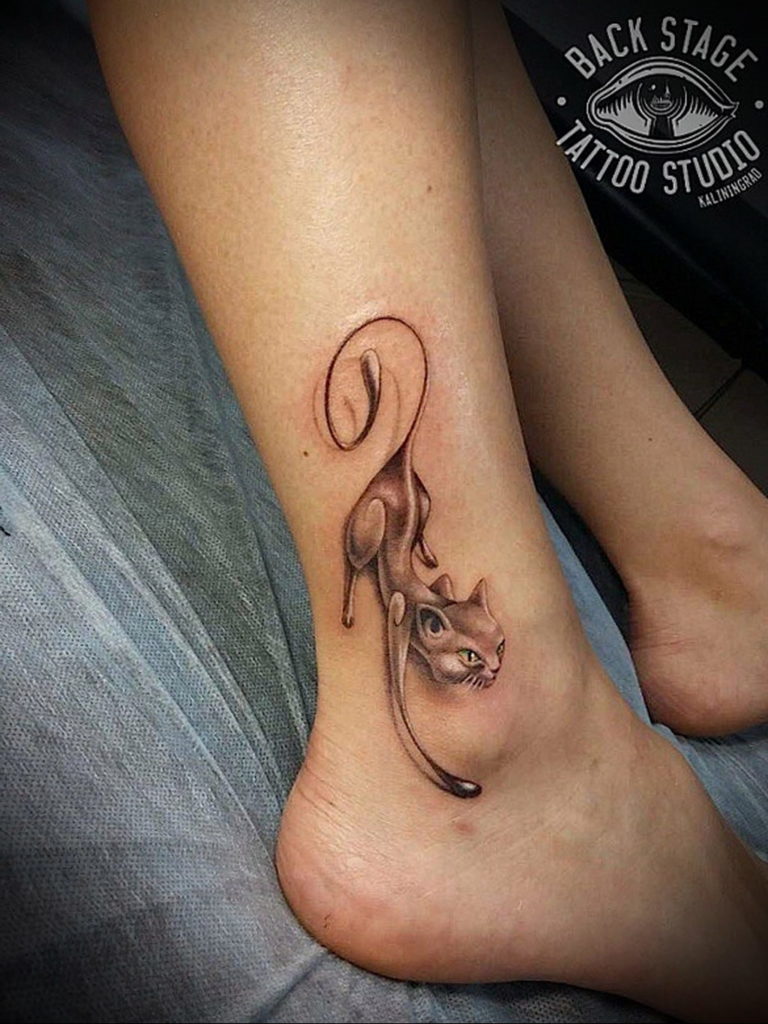 cat tattoo on leg 03.12.2019 №007 -cat tattoo- tattoovalue.net