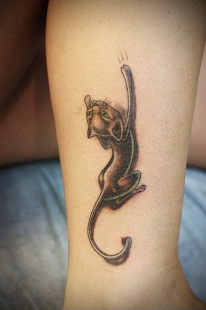 cat tattoo on leg 03.12.2019 №013 -cat tattoo- tattoovalue.net