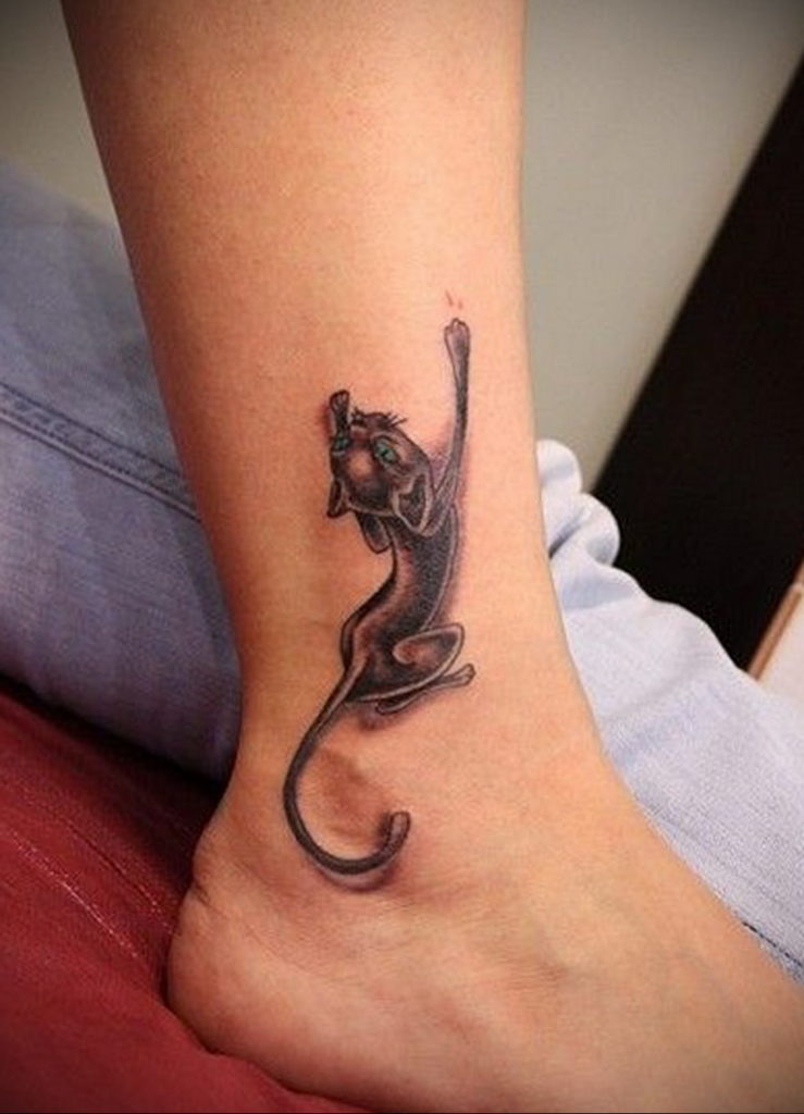 cat tattoo on leg 03.12.2019 №017 -cat tattoo- tattoovalue.net