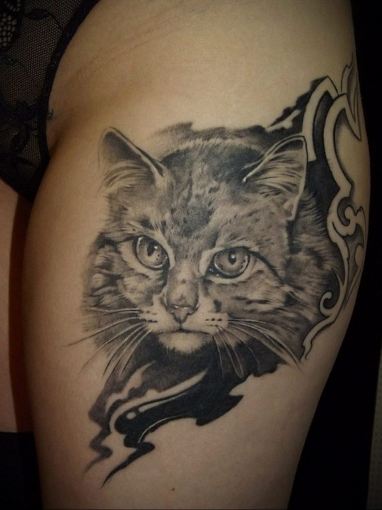 cat tattoo on leg 03.12.2019 №037 -cat tattoo- tattoovalue.net