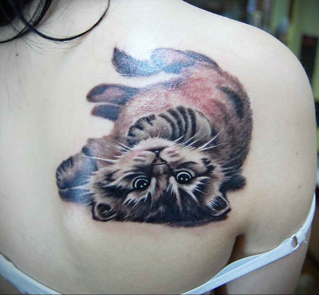 cat tattoo on the shoulder 03.12.2019 №002 -cat tattoo- tattoovalue.net