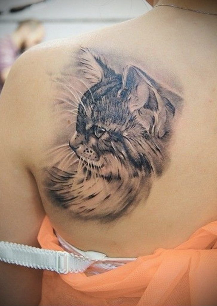 cat tattoo on the shoulder 03.12.2019 №003 -cat tattoo- tattoovalue.net