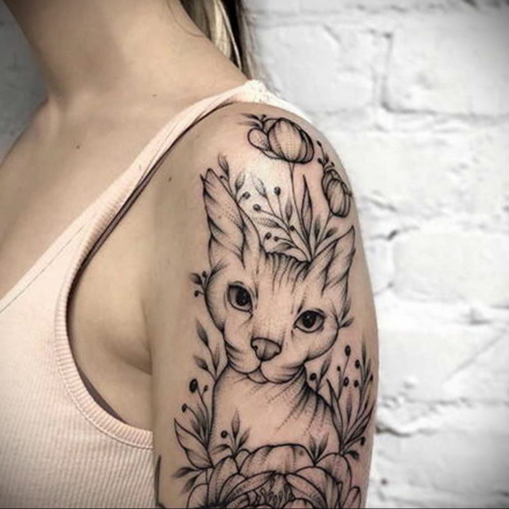 cat tattoo on the shoulder 03.12.2019 №008 -cat tattoo- tattoovalue.net