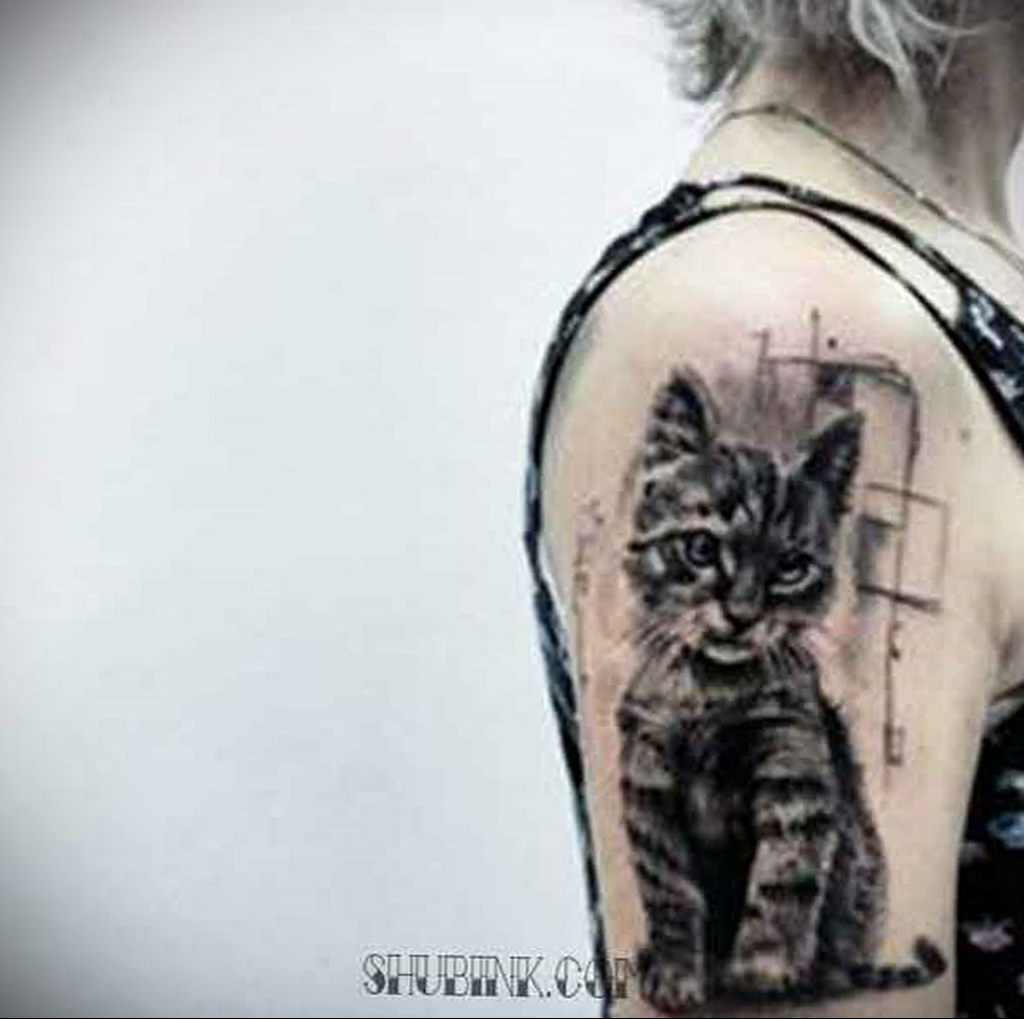 cat tattoo on the shoulder 03.12.2019 №009 -cat tattoo- tattoovalue.net