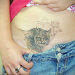 cat tattoo on the stomach 03.12.2019 №011 -cat tattoo- tattoovalue.net