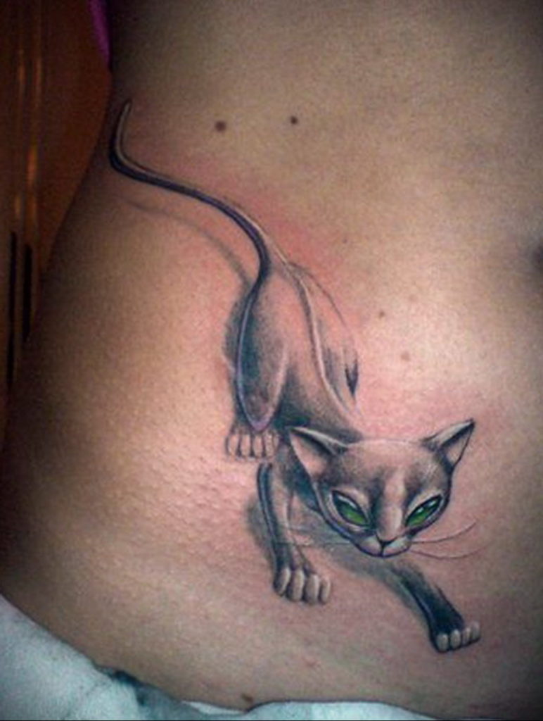 cat tattoo on the stomach 03.12.2019 №002 -cat tattoo- tattoovalue.net