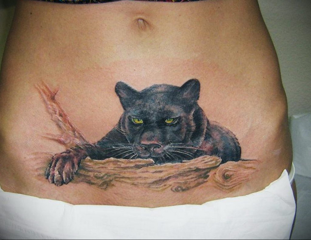 cat tattoo on the stomach 03.12.2019 №012 -cat tattoo- tattoovalue.net