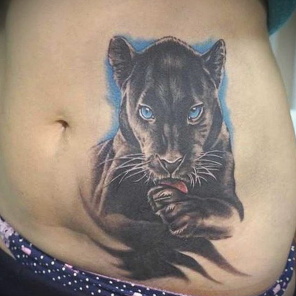 cat tattoo on the stomach 03.12.2019 №014 -cat tattoo- tattoovalue.net