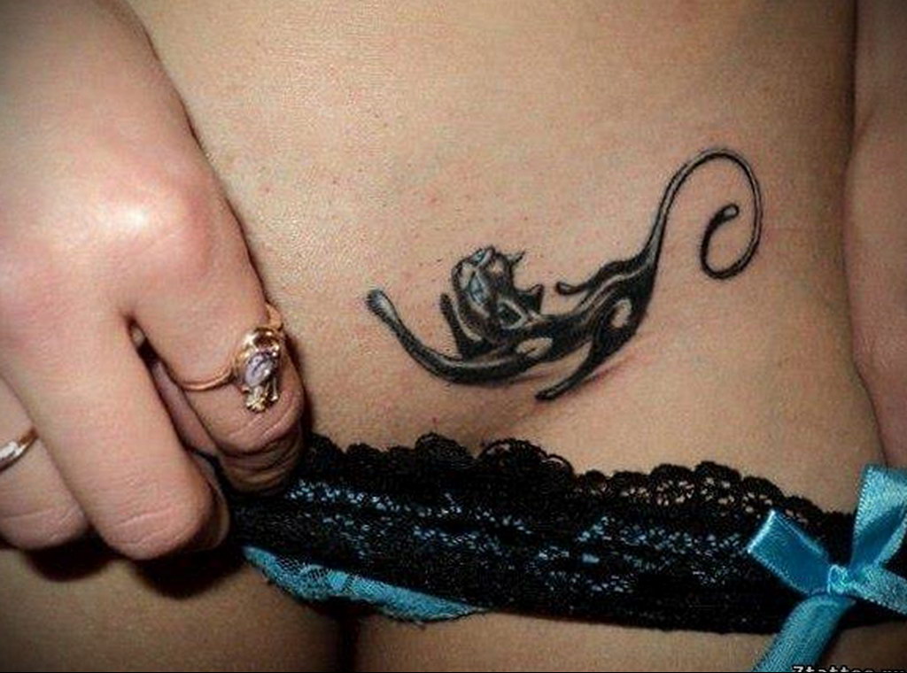 cat tattoo on the stomach 03.12.2019 №015 -cat tattoo- tattoovalue.net