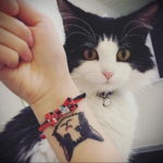 cat tattoo on the wrist 03.12.2019 №012 -cat tattoo- tattoovalue.net
