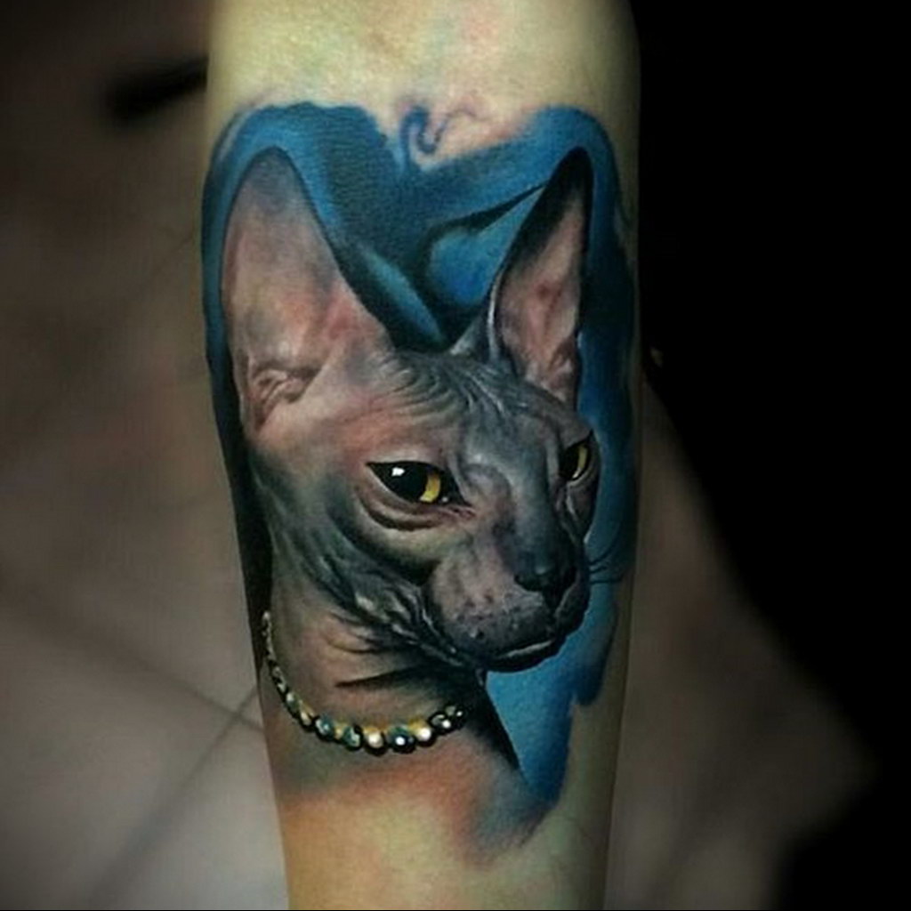 cat tattoo on the wrist 03.12.2019 №032 -cat tattoo- tattoovalue.net