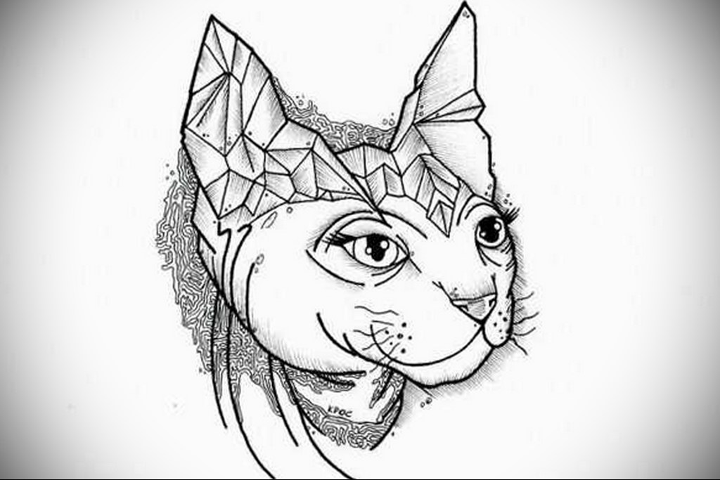 cat tattoo sketches 03.12.2019 №003 -cat tattoo- tattoovalue.net