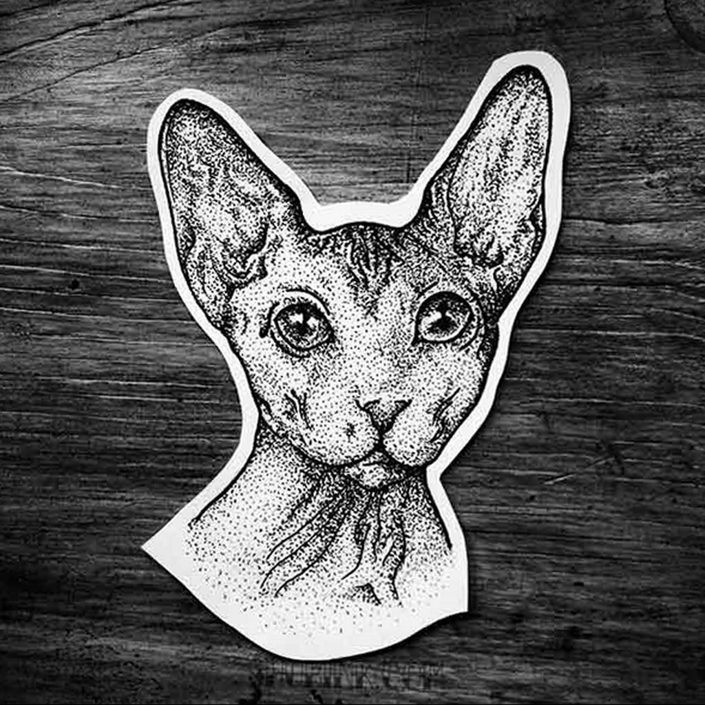 cat tattoo sketches 03.12.2019 №030 -cat tattoo- tattoovalue.net
