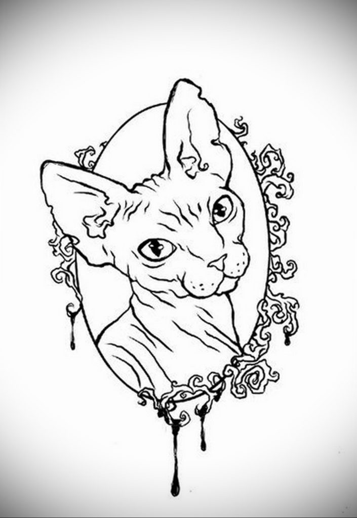 cat tattoo sketches 03.12.2019 №041 -cat tattoo- tattoovalue.net