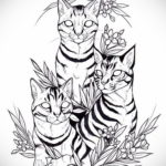 cat tattoo sketches 03.12.2019 №045 -cat tattoo- tattoovalue.net