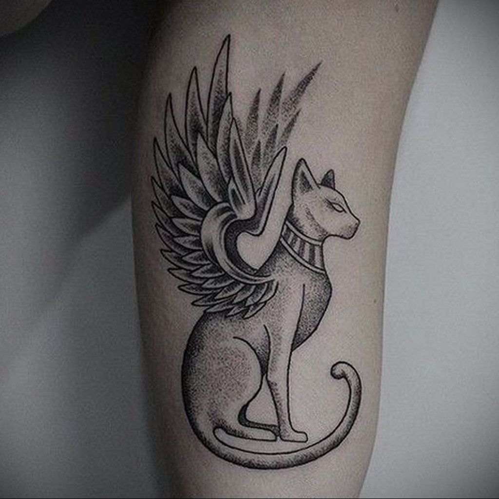 cat tattoo with wings 03.12.2019 №001 -cat tattoo- tattoovalue.net