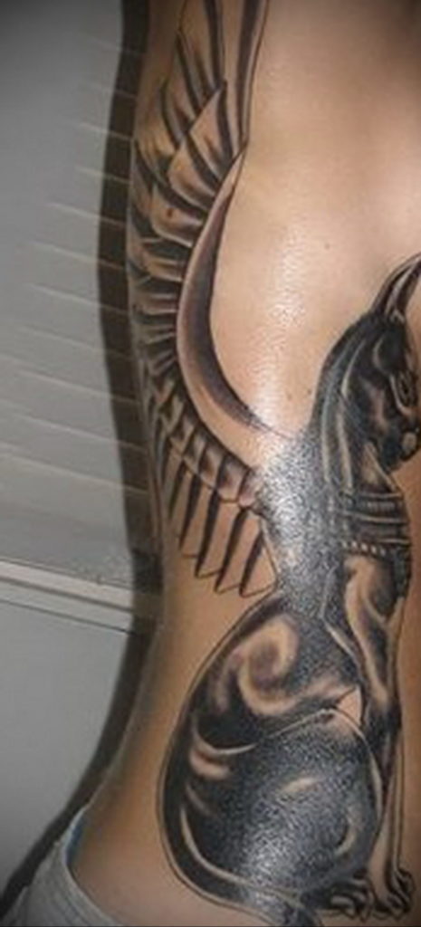 cat tattoo with wings 03.12.2019 №002 -cat tattoo- tattoovalue.net