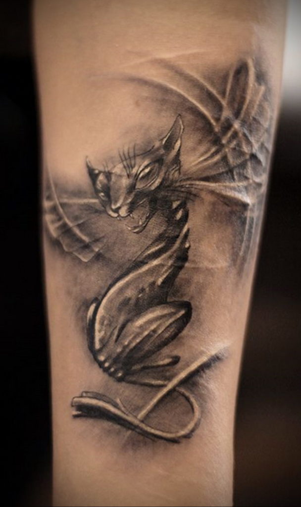 cat tattoo with wings 03.12.2019 №006 -cat tattoo- tattoovalue.net