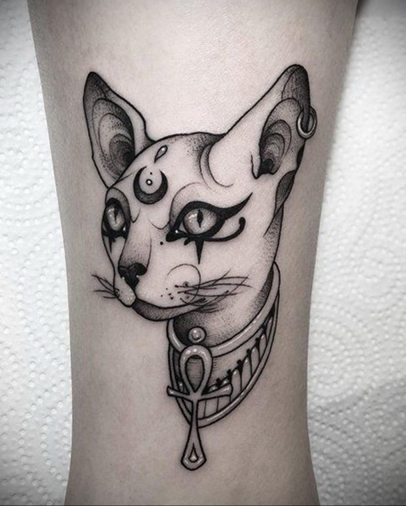 egyptian cat tattoo 03.12.2019 №012 -cat tattoo- tattoovalue.net