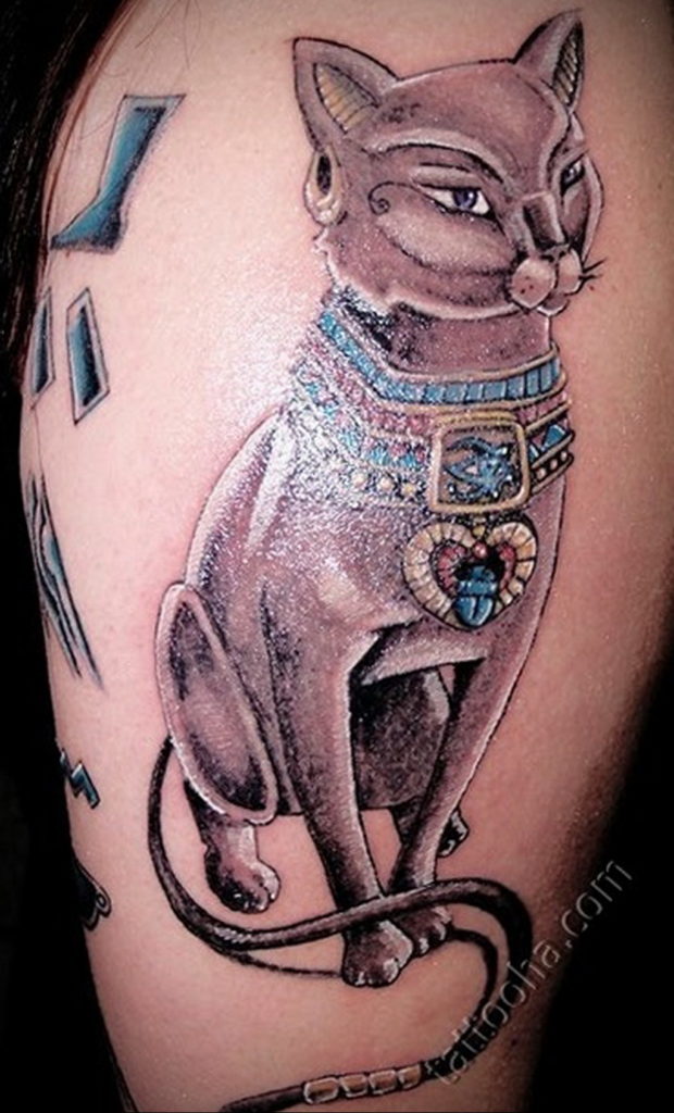 egyptian cat tattoo 03.12.2019 №014 -cat tattoo- tattoovalue.net