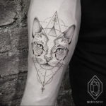 geometry cat tattoo 03.12.2019 №007 -cat tattoo- tattoovalue.net