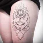 geometry cat tattoo 03.12.2019 №013 -cat tattoo- tattoovalue.net