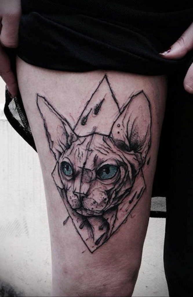 geometry cat tattoo 03.12.2019 №004 -cat tattoo- tattoovalue.net
