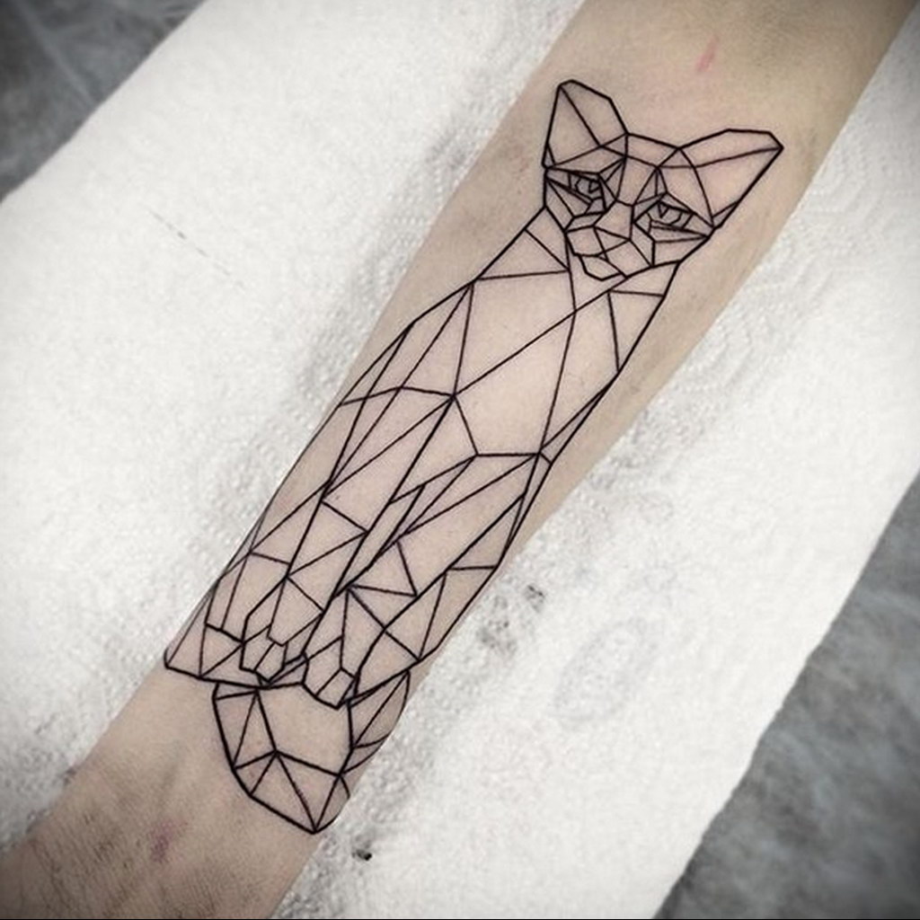 geometry cat tattoo 03.12.2019 №015 -cat tattoo- tattoovalue.net