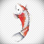 koi tattoo 06.01.2020 №053 -tattoo fish- tattoovalue.net