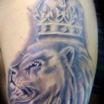 lion tattoo with crown 08.12.2019 №057 -tattoo crown- tattoovalue.net