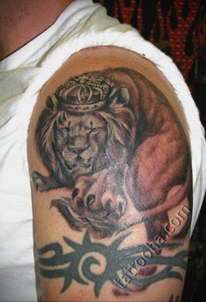 lion tattoo with crown 08.12.2019 №066 -tattoo crown- tattoovalue.net