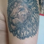 lion tattoo with crown 08.12.2019 №067 -tattoo crown- tattoovalue.net