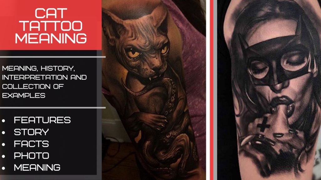 meaning cat tattoo - image - cover - screensaver - preview