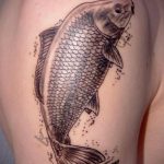 photo crucian tattoo 06.01.2020 №014 -tattoo fish- tattoovalue.net