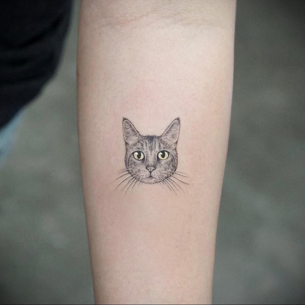 small cat tattoo 03.12.2019 №018 -cat tattoo- tattoovalue.net