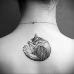 small cat tattoo 03.12.2019 №028 -cat tattoo- tattoovalue.net