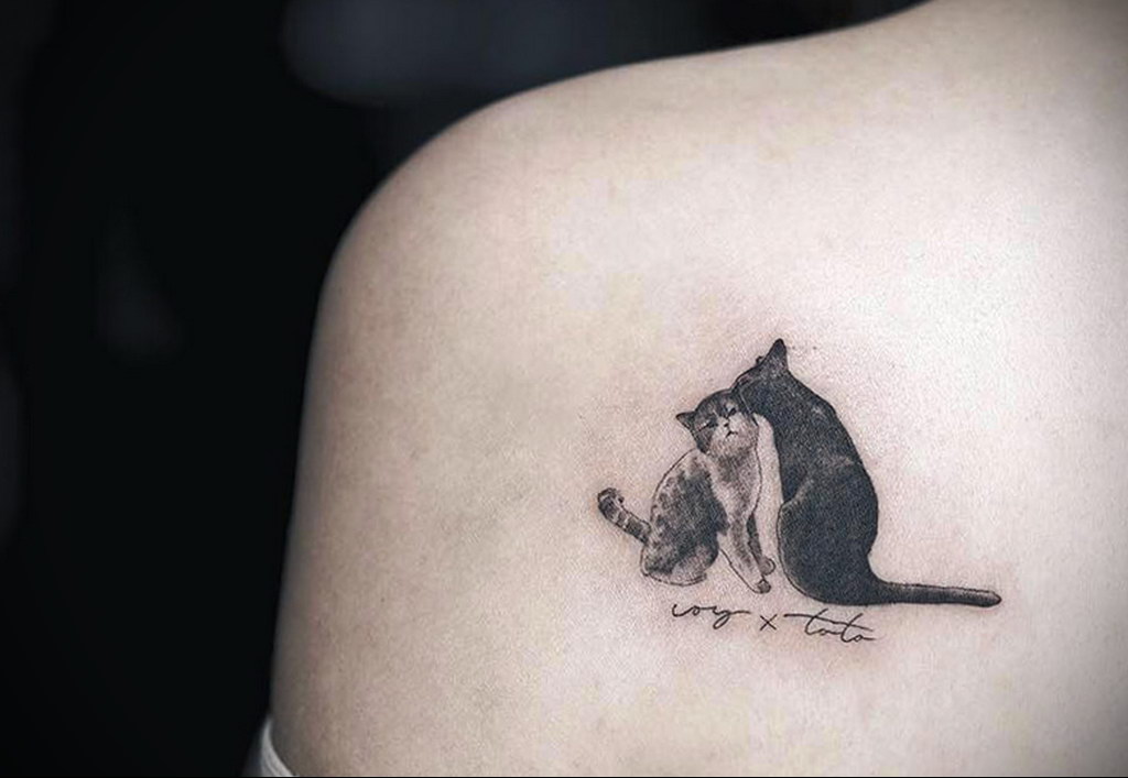 small cat tattoo 03.12.2019 №031 -cat tattoo- tattoovalue.net