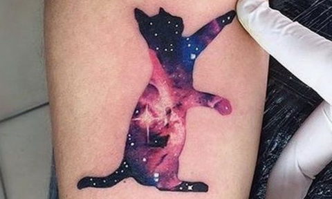 small cat tattoo 03.12.2019 №033 -cat tattoo- tattoovalue.net