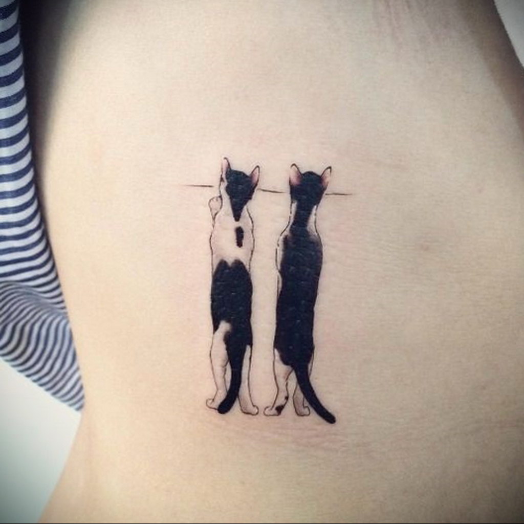 small cat tattoo 03.12.2019 №034 -cat tattoo- tattoovalue.net