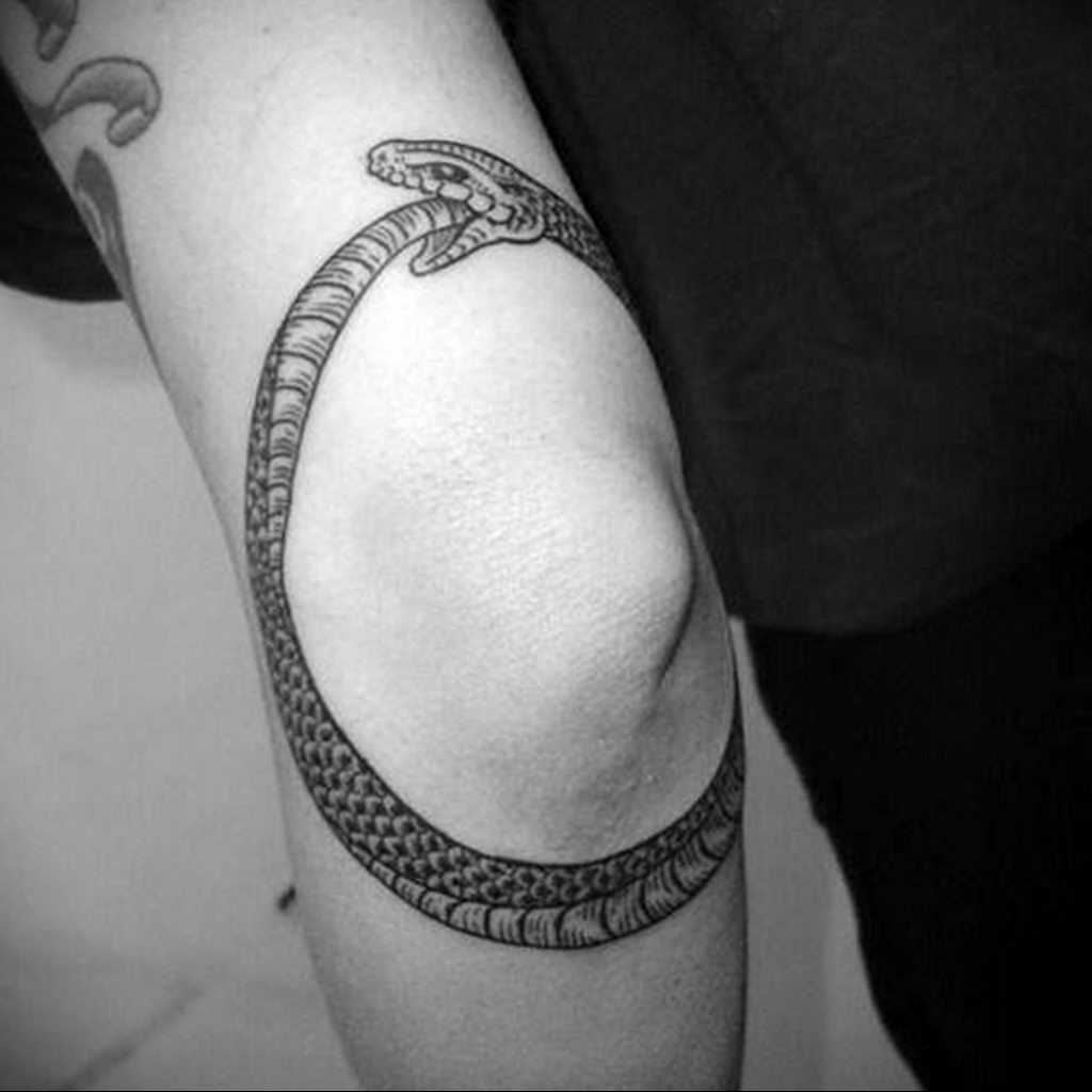 snake circle tattoo 07.01.2020 №017 -circle tattoo- tattoovalue.net
