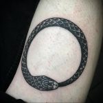 snake circle tattoo 07.01.2020 №031 -circle tattoo- tattoovalue.net