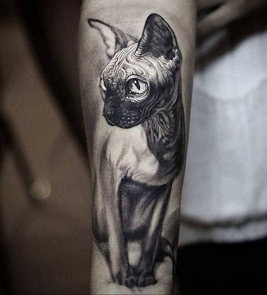 40 Cute Cat Tattoo Ideas with Meanings for Cat Lovers