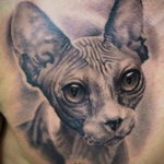 sphinx cat tattoo 03.12.2019 №004 -cat tattoo- tattoovalue.net