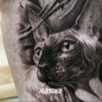 sphinx cat tattoo 03.12.2019 №010 -cat tattoo- tattoovalue.net