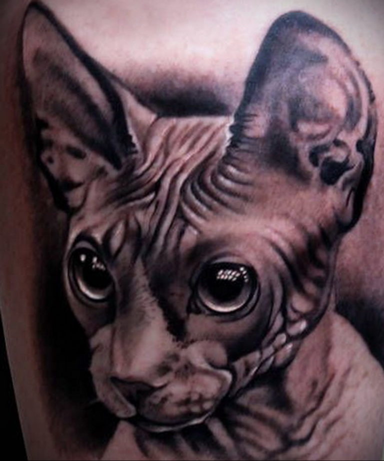 sphinx cat tattoo 03.12.2019 № 033 -cat tattoo- tattoovalue.net.