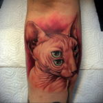 sphinx cat tattoo 03.12.2019 №042 -cat tattoo- tattoovalue.net